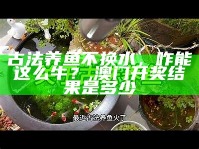 古法养鱼不换水，咋能这么牛？, 澳门开奖结果是多少