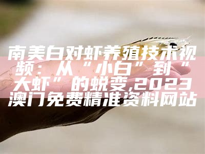 淡水南美白对虾养殖技术：不仅是养虾，更是养“海”, 123手机开奖澳门