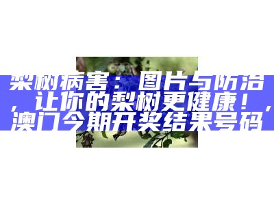 梨树病害：图片与防治，让你的梨树更健康！, 澳门今期开奖结果号码