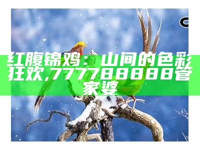 红腹锦鸡：山间的色彩狂欢, 777788888管家婆