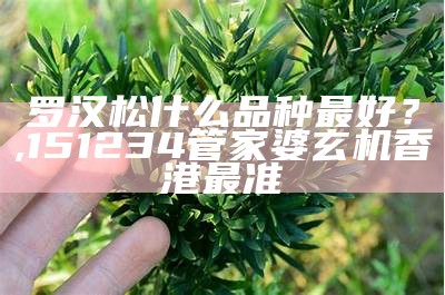 罗汉松什么品种最好？, 151234管家婆玄机香港最准