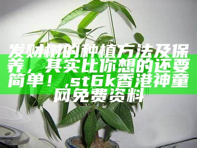 发财树的种植方法及保养，其实比你想的还要简单！, 49图库app苹果手机下载