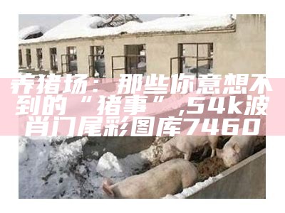 养猪场：那些你意想不到的“猪事”, 54k波肖门尾彩图库7460