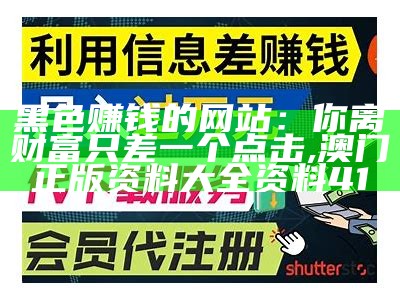 黑色赚钱的网站：你离财富只差一个点击, 澳门正版资料大全资料41