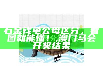 石金钱龟公母区分，看图就能懂！, 六-合-赢-家- 63228