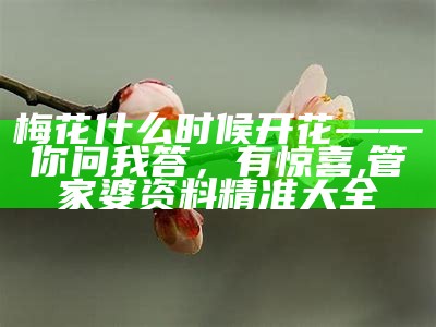 梅花什么时候开花——你问我答，有惊喜, 管家婆资料精准大全