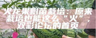 火龙果树苗栽培：原来栽培也能这么“火”, 双彩论坛的首页