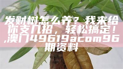 发财树怎么养？我来给你支几招，轻松搞定！, 澳门49619acom96期资料