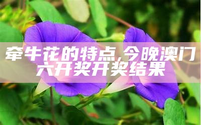 牵牛花的特点, 今晚澳门六开奖开奖结果