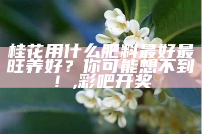 桂花用什么肥料最好最旺养好？你可能想不到！, 彩吧开奖