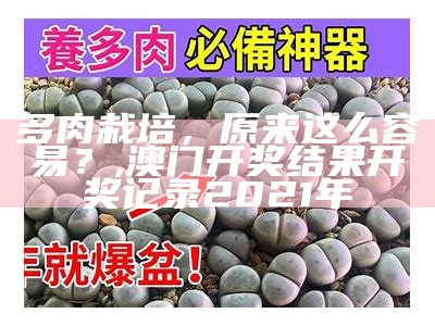 多肉栽培，原来这么容易？, 澳门开奖结果 开奖记录2021年