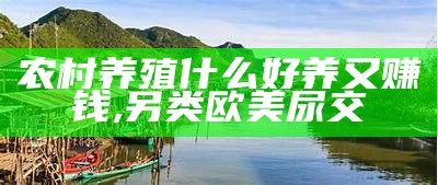 回农村养殖什么最好？, 澳门六合资料