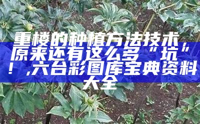 重楼的种植方法技术，原来还有这么多“坑”！, 六台彩图库宝典资料大全