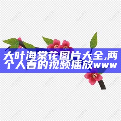 大叶海棠花图片大全, 两个人看的视频播放www