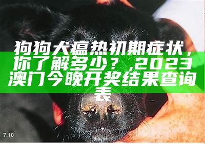 狗狗犬瘟热初期症状，你了解多少？, 澳门正版资料大全2022