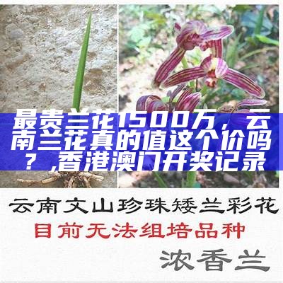 最贵兰花1500万，云南兰花真的值这个价吗？, 香港澳门开奖记录