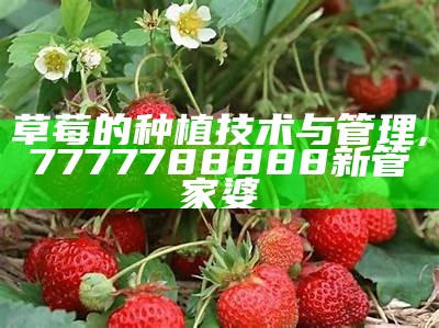 草莓的种植技术与管理, 7777788888新管家婆