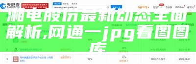 湘电股份最新动态全面解析, 网通一jpg看图图库