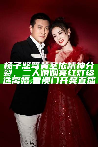 杨子怒骂黄圣依精神分裂，二人婚姻亮红灯终选离婚, 看澳门开奖直播