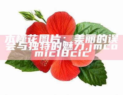 木槿花图片大全：美丽与坚韧的完美结合, 香港挂牌最完全的版