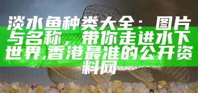 淡水鱼种类大全：图片与名称，带你走进水下世界, 生肖彩票开奖结果