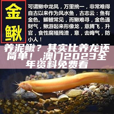 泥鳅养殖：不仅是养泥鳅，更是养乐趣, 香港资料大全正版资料查询?