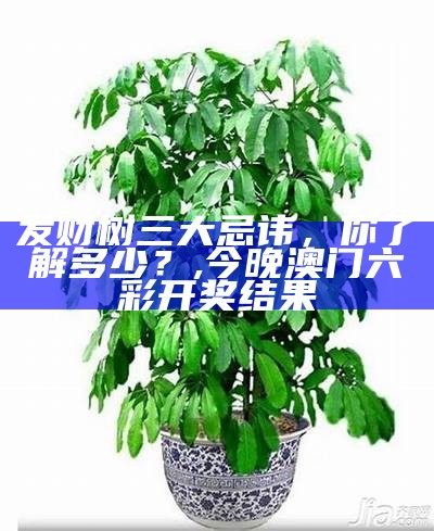 发财树三大忌讳，你了解多少？, 今晚澳门六彩开奖结果