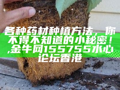 各种药材种植方法，你不得不知道的小秘密！, 金牛网155755水心论坛香港