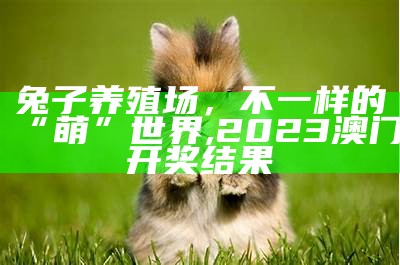 兔子养殖场，不一样的“萌”世界, 2023澳门开奖结果