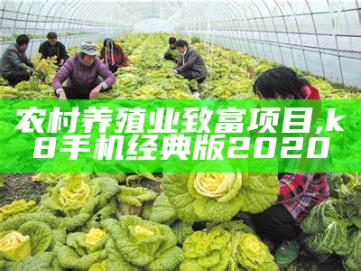 目前种植什么最赚钱价格最高？, 打开236767网站独家