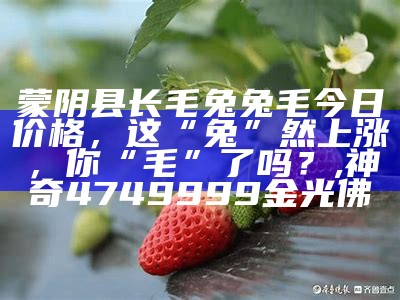 蒙阴县长毛兔兔毛今日价格，这“兔”然上涨，你“毛”了吗？, 神奇4749999金光佛