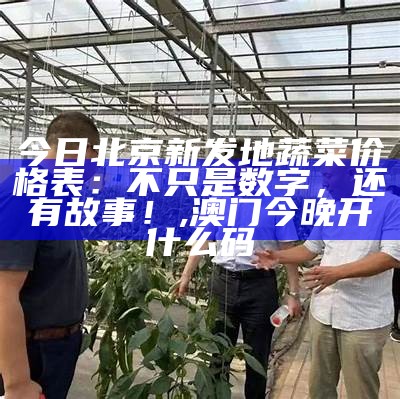 今日北京新发地蔬菜价格表：不只是数字，还有故事！, 澳门今晚开什么码