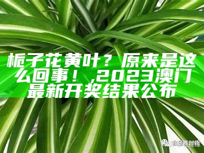 2025年1月12日 第5页