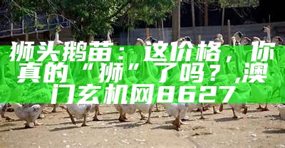 狮头鹅苗：这价格，你真的“狮”了吗？, 澳门玄机网8627