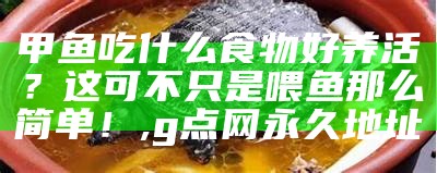 甲鱼吃什么食物好养活？这可不只是喂鱼那么简单！, g点网永久地址