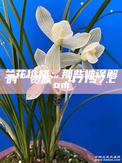 兰花价格：那些被误解的“贵族”, 47157.com