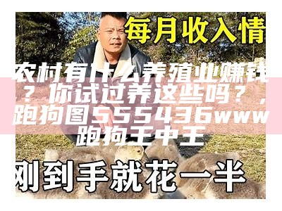 农村做什么养殖挣钱？你可能想不到！, 2023澳门全年资料免费大全