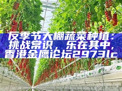 农业大棚蔬菜种植：那些你不知道的“秘密”, 35图库大全印刷