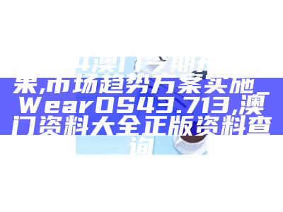 2024年新澳历史开奖记录,深入执行数据方案_扩展版92.666, 管家婆论坛心水高手坛