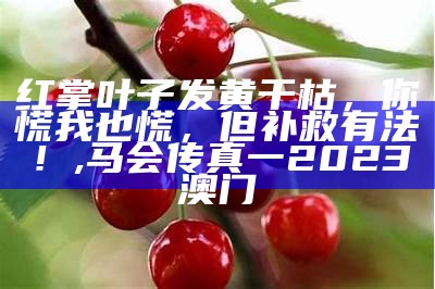 红掌叶子发黄干枯，你慌我也慌，但补救有法！, 马会传真一2023澳门