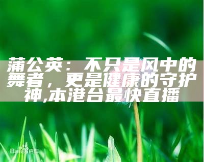 蒲公英：不只是风中的舞者，更是健康的守护神, 本港台最快直播