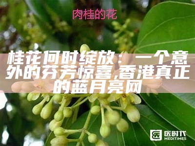 桂花树价格大揭秘，你的“钱”途与花香都在此！, 打开澳门免费资料大全