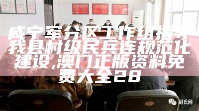 咸宁军分区工作组指导我县村级民兵连规范化建设, 澳门正版资料免费大全28