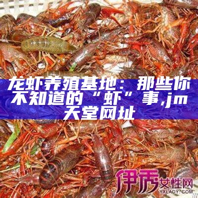 龙虾养殖基地：那些你不知道的“虾”事, jm天堂网址