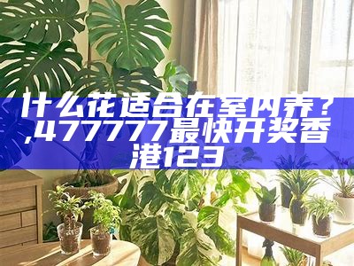 最适合室内养的六种花, 2022年澳门今晚开奖结果