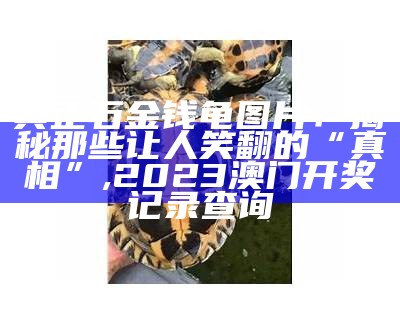 石金钱龟吃什么：那些年我们误解的“硬骨头”, 幽默猜测2019