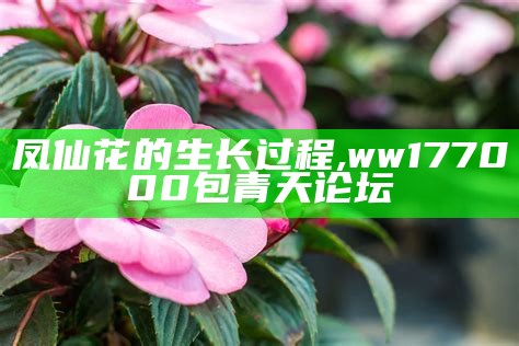 凤仙花的生长过程, ww177000包青天论坛