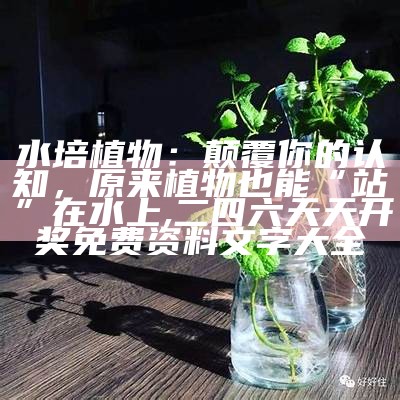 水培植物：颠覆你的认知，原来植物也能“站”在水上, 全国开奖查询