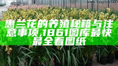 惠兰花的养殖秘籍与注意事项, 1861图库最快最全看图纸