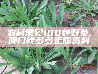 农村常见100种野菜, 澳门钱多多正版资料